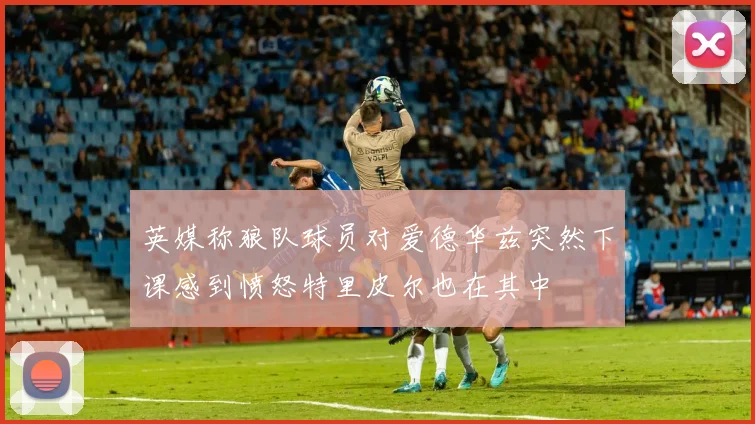 英媒称狼队球员对爱德华兹突然下课感到愤怒特里皮尔也在其中